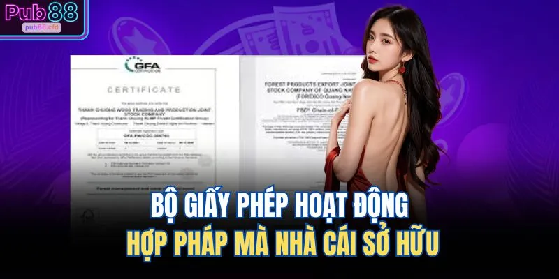 PUB88 11 Bộ giấy phép hoạt động hợp pháp mà nhà cái sở hữu